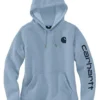 Carhartt Women's Clarksburg Logo Graphic Hoodie 1 Carhartt Women's Clarksburg Logo Graphic Hoodie -Sheplers Sales 2000369256 450 P1