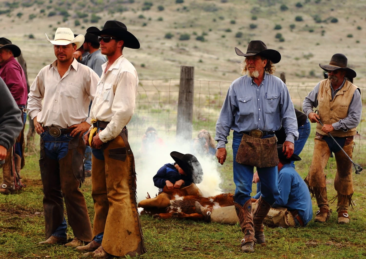 Front Page -Sheplers Sales a cowboys first brand